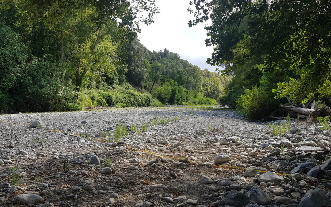 Ghisonaccia (2B) – Recherche en eau souterraine par la méthode du panneau électrique